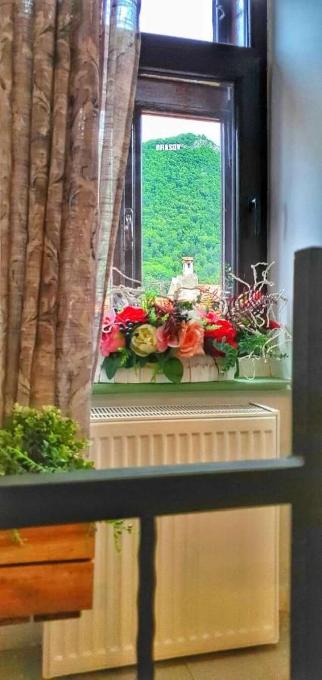 Гостевой дом Casa Crown Брашов-18