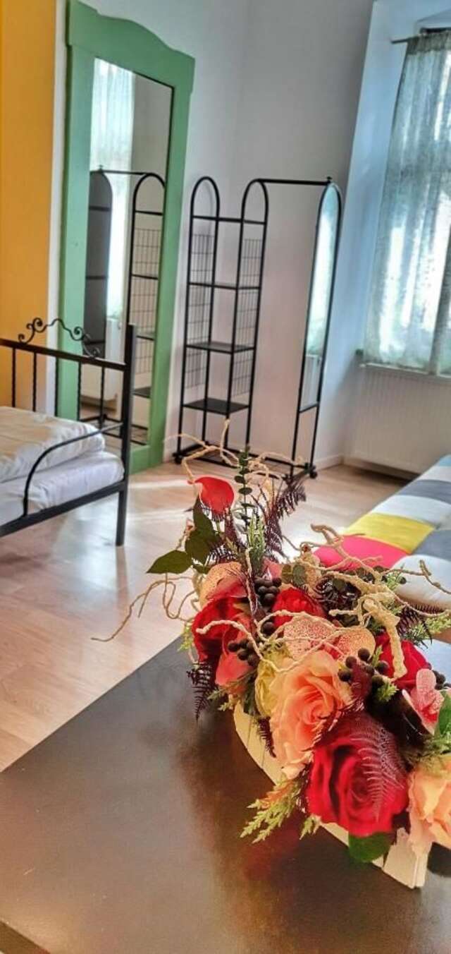 Гостевой дом Casa Crown Брашов-38